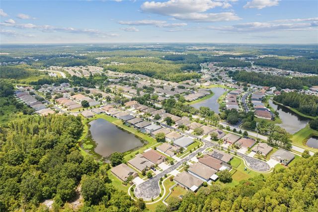 31421 ANNISTON DRIVE, Wesley Chapel, FL 33543