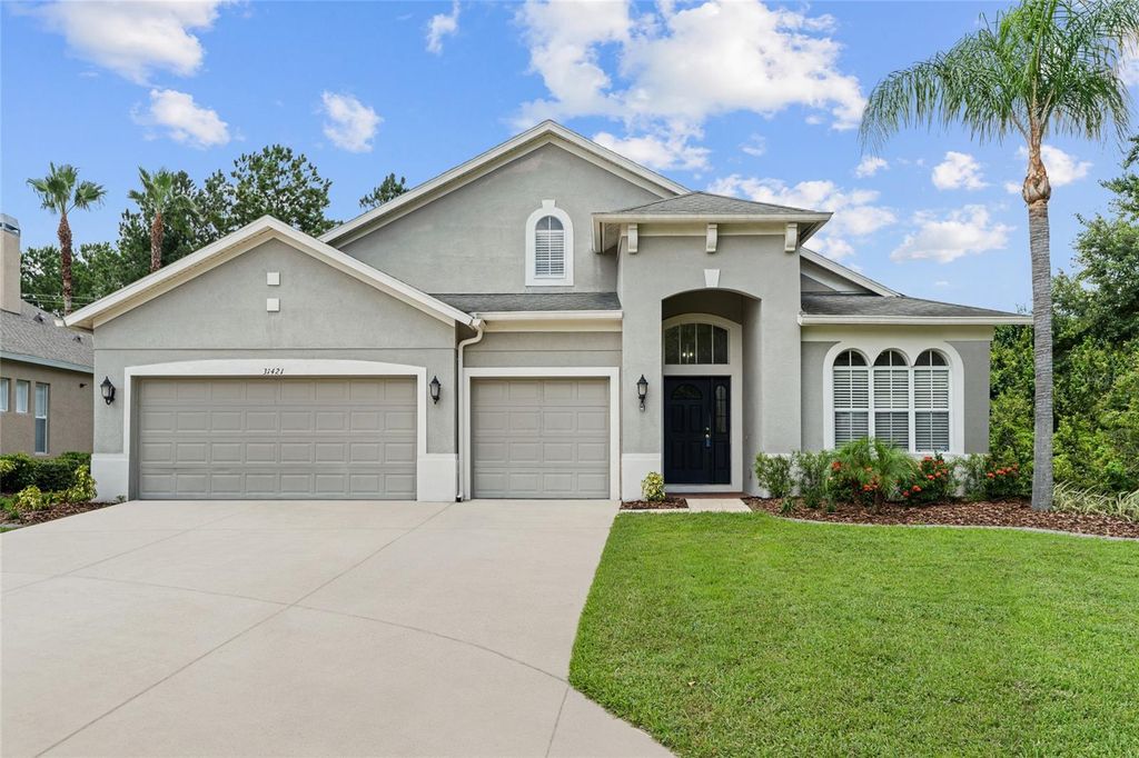 31421 ANNISTON DRIVE, Wesley Chapel, FL 33543