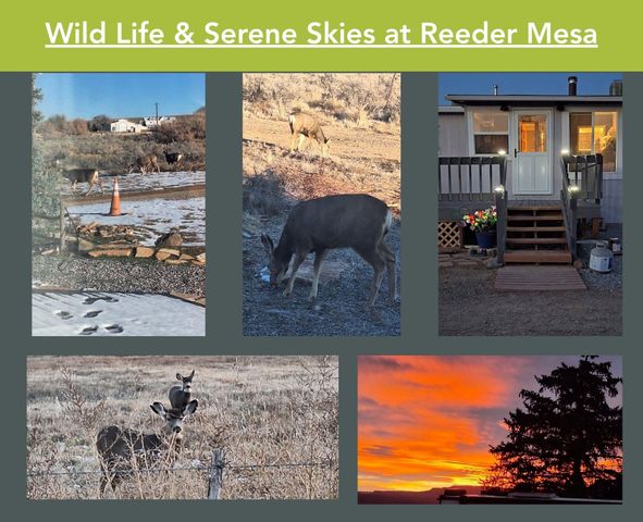 6777 Reeder Mesa Road, Whitewater, CO 81527