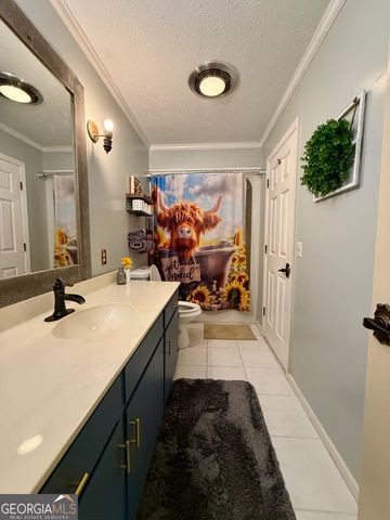 1282 Millard Lane, Jakin, GA 39861