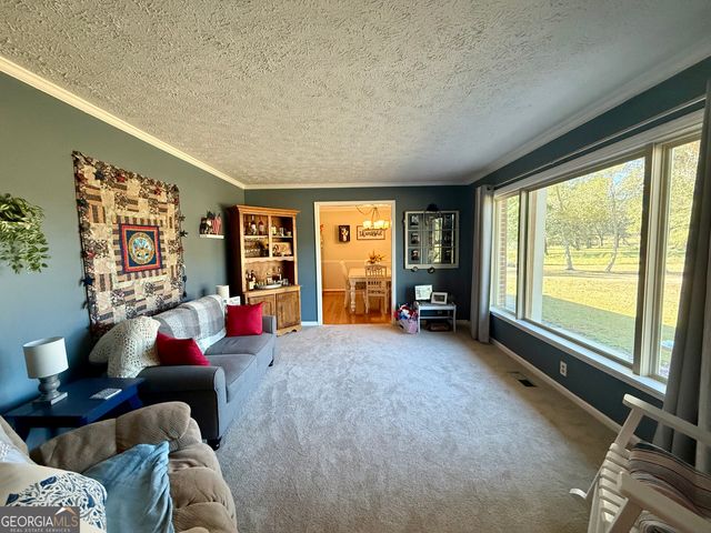 1282 Millard Lane, Jakin, GA 39861