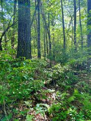 00 Deer Run, Robbinsville, NC 28771