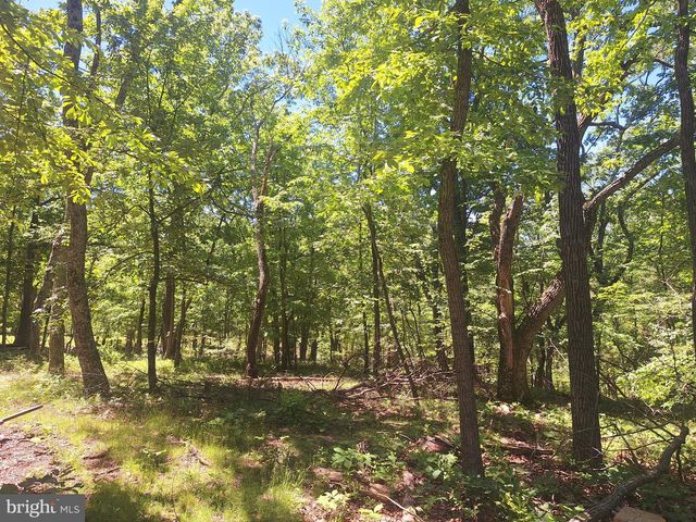 71 TRAPPER RIDGE LN, Hedgesville, WV 25427