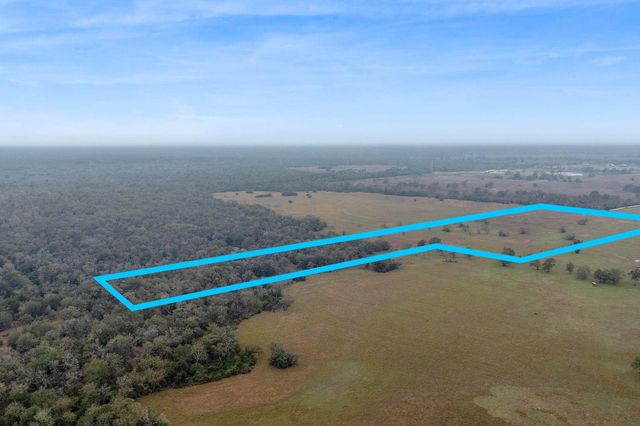 CR 123 - Tract 5, Bedias, TX 77831