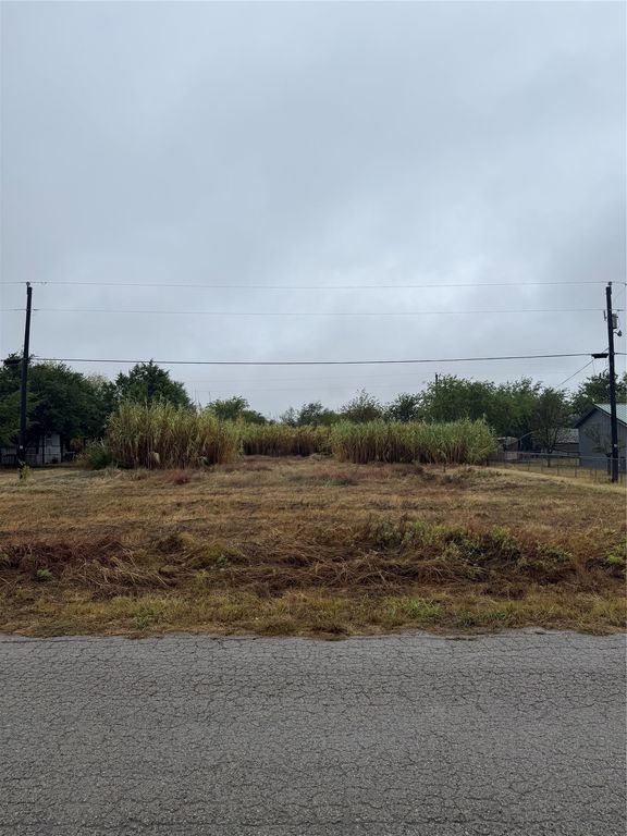 8946 Cartwright Drive, Cresson, TX 76035 — photo 2