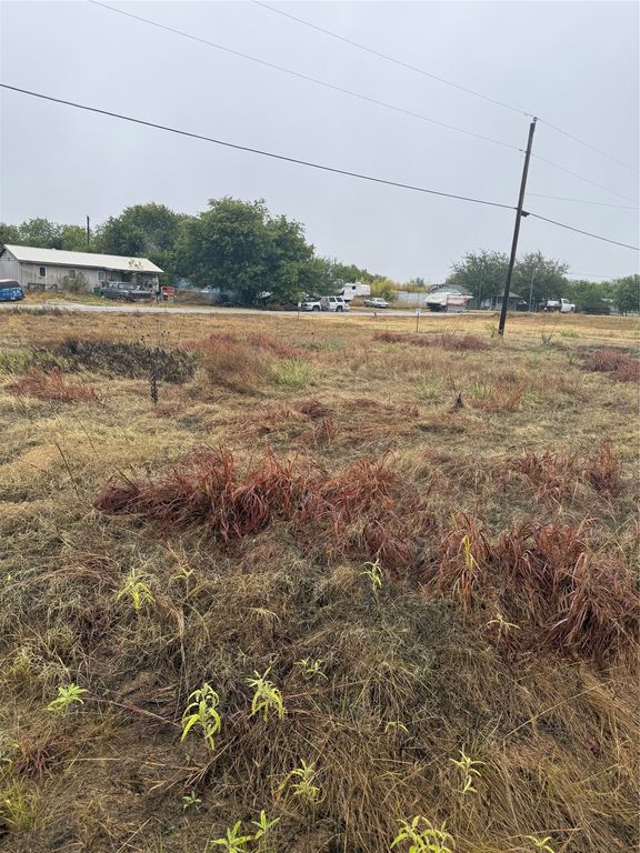 8946 Cartwright Drive, Cresson, TX 76035 — photo 3