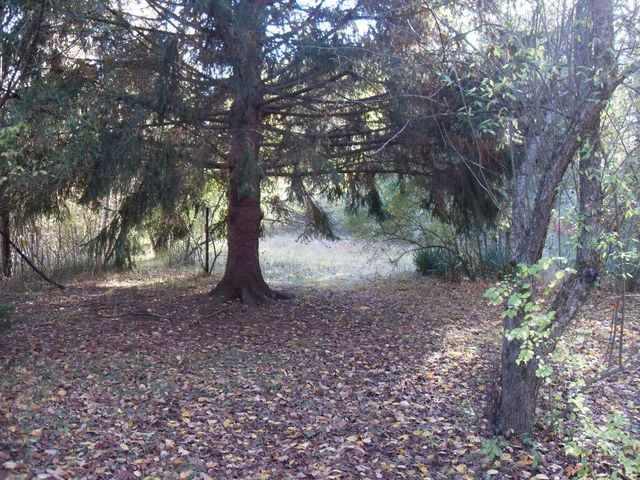 4107 E White River Drive, Hesperia, MI 49421