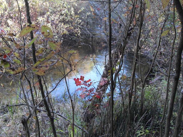 4107 E White River Drive, Hesperia, MI 49421