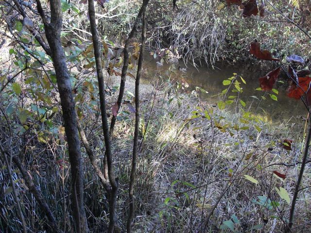 4107 E White River Drive, Hesperia, MI 49421