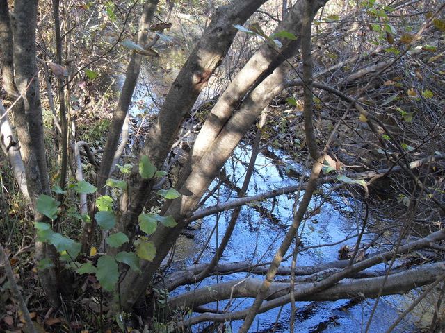 4107 E White River Drive, Hesperia, MI 49421