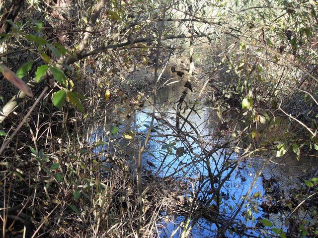 4107 E White River Drive, Hesperia, MI 49421