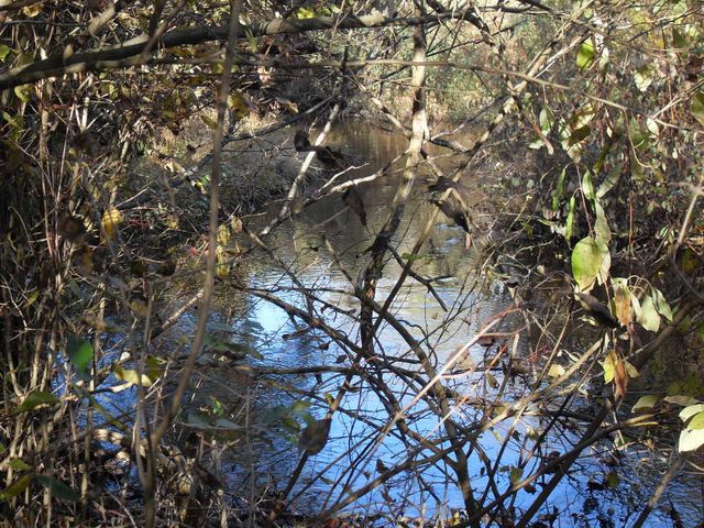 4107 E White River Drive, Hesperia, MI 49421