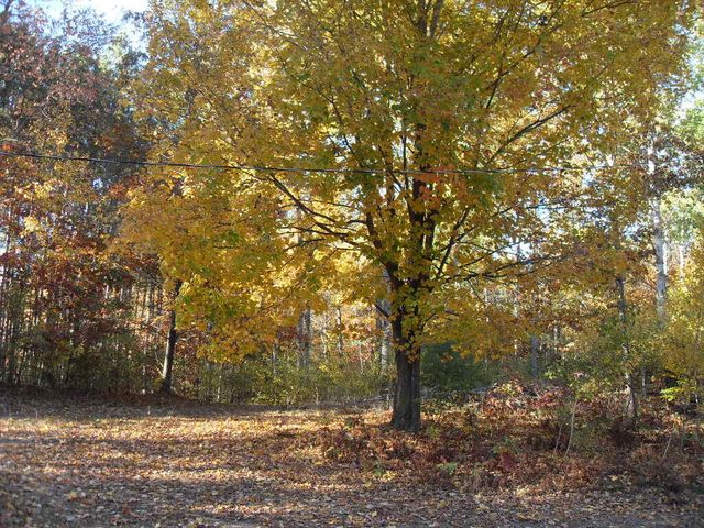 4107 E White River Drive, Hesperia, MI 49421