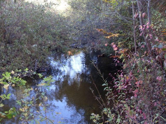 4107 E White River Drive, Hesperia, MI 49421