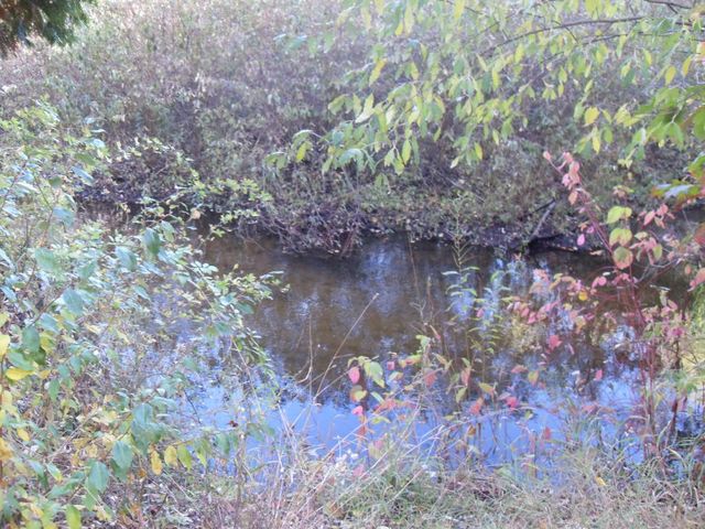 4107 E White River Drive, Hesperia, MI 49421