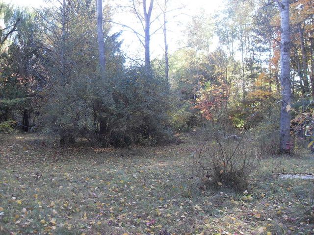 4107 E White River Drive, Hesperia, MI 49421