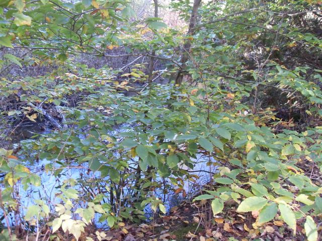 4107 E White River Drive, Hesperia, MI 49421