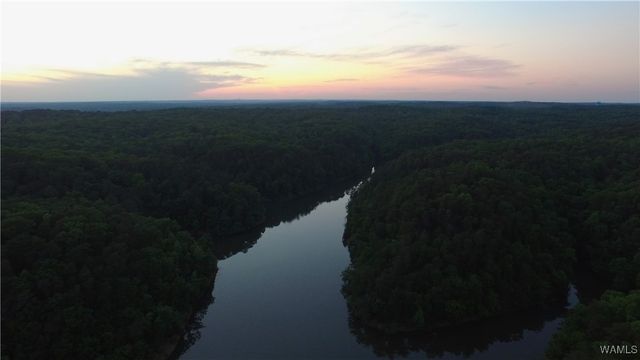 3100 NICOL POINT NE 01, Tuscaloosa, AL 35406