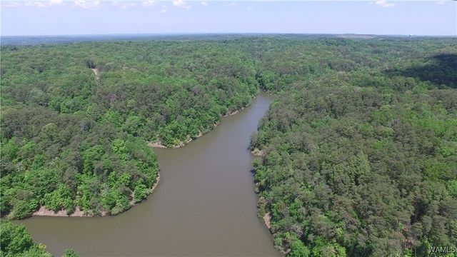 3100 NICOL POINT NE 01, Tuscaloosa, AL 35406