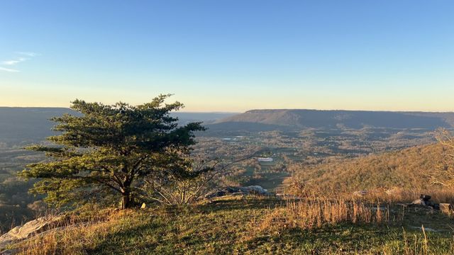 0 Tatum Gulf Road, Menlo, GA 30731