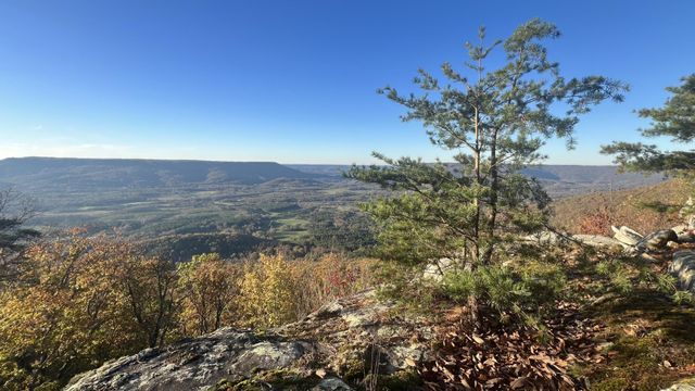 0 Tatum Gulf Road, Menlo, GA 30731