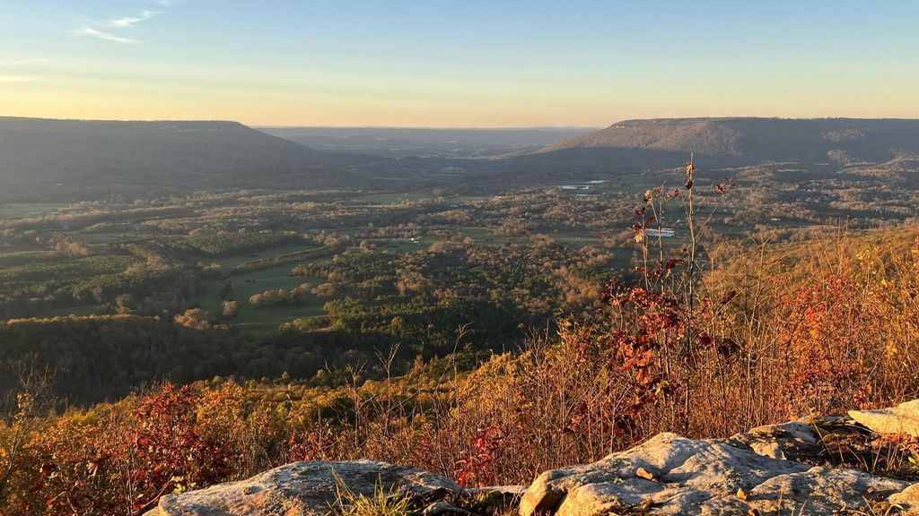 0 Tatum Gulf Road, Menlo, GA 30731