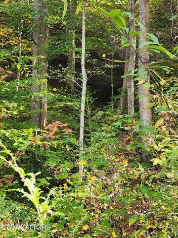 Terry Creek Lane, Pioneer, TN 37847