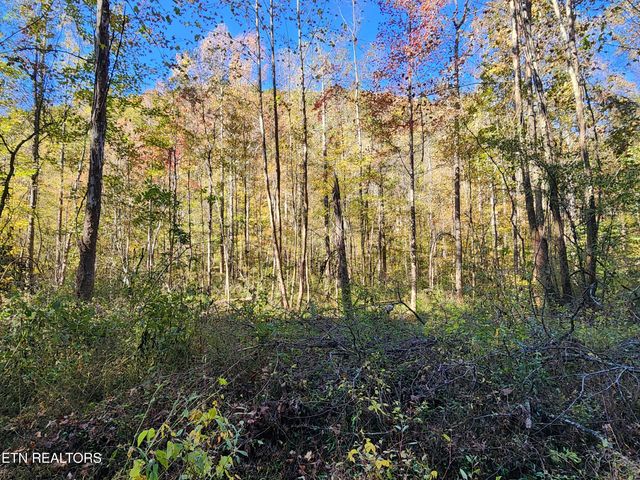 Terry Creek Lane, Pioneer, TN 37847