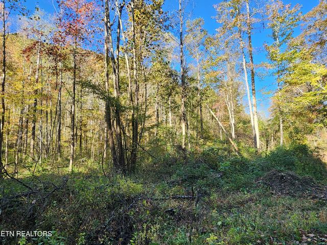 Terry Creek Lane, Pioneer, TN 37847