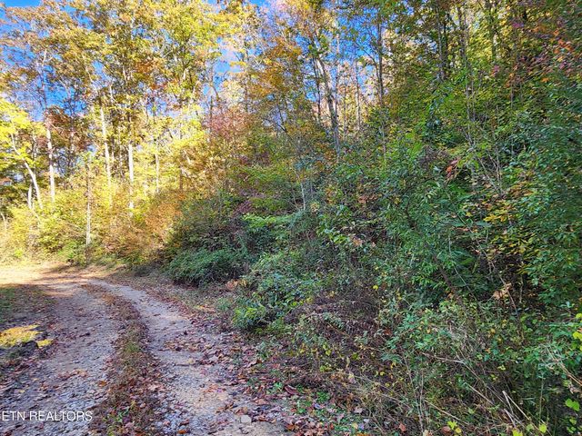 Terry Creek Lane, Pioneer, TN 37847