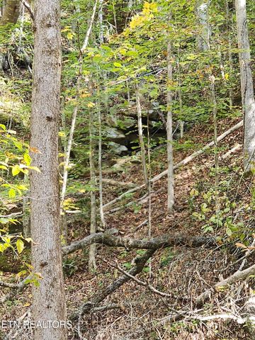 Terry Creek Lane, Pioneer, TN 37847