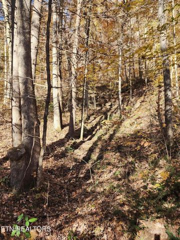 Terry Creek Lane, Pioneer, TN 37847