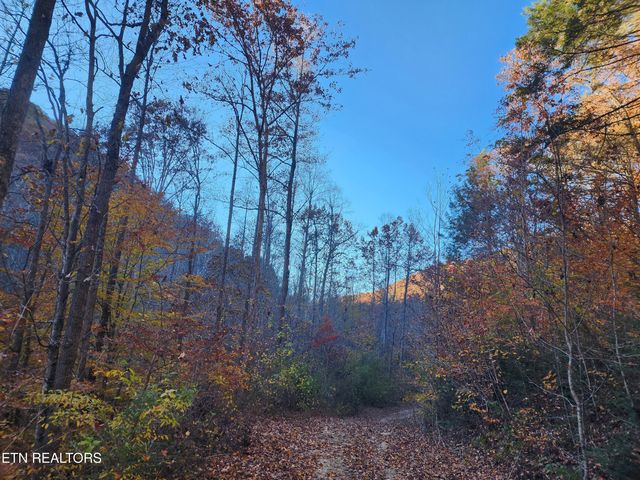 Terry Creek Lane, Pioneer, TN 37847