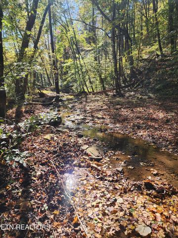 Terry Creek Lane, Pioneer, TN 37847
