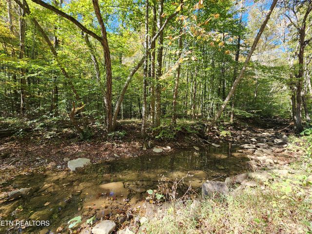 Terry Creek Lane, Pioneer, TN 37847