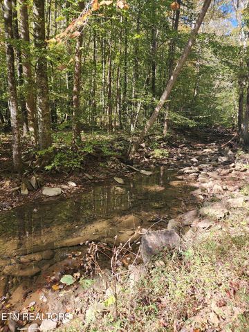 Terry Creek Lane, Pioneer, TN 37847