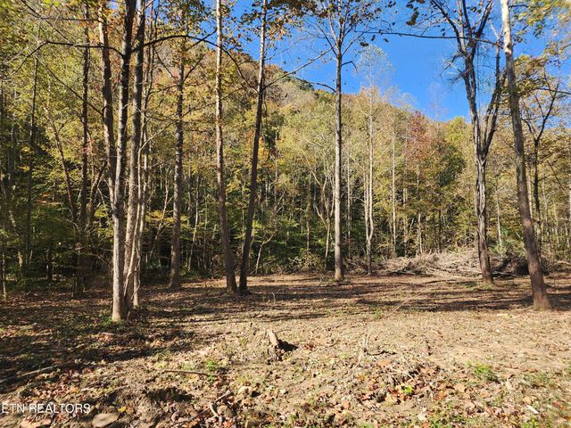 Terry Creek Lane, Pioneer, TN 37847