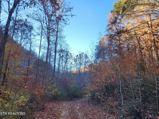 Terry Creek Lane, Pioneer, TN 37847