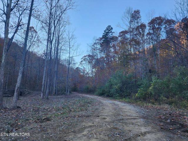 Terry Creek Lane, Pioneer, TN 37847