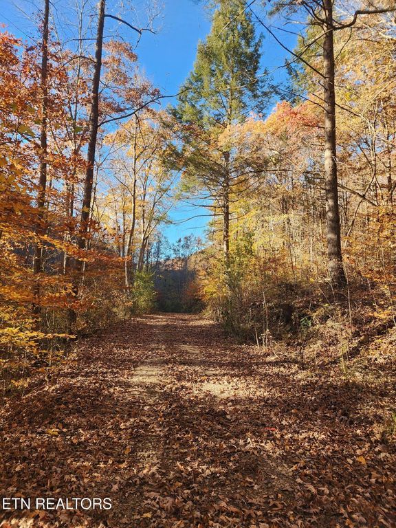 Terry Creek Lane, Pioneer, TN 37847