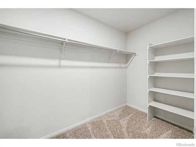 5721 Stone Fly Drive, Timnath, CO 80547