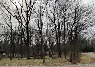 0 Green Tree Drive, Grand Blanc Charter Township, MI 48439
