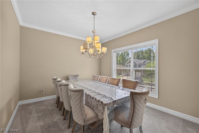 483 S Marigold Lane, Kent, OH 44240
