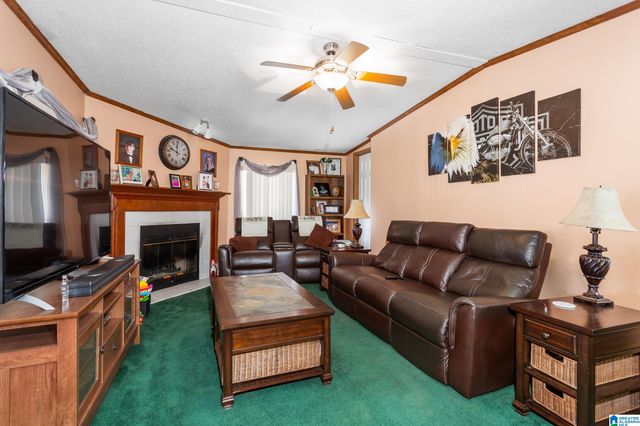 1060 BOILING SPRINGS ROAD, Ohatchee, AL 36271