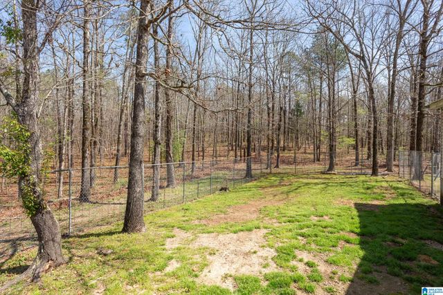 1060 BOILING SPRINGS ROAD, Ohatchee, AL 36271