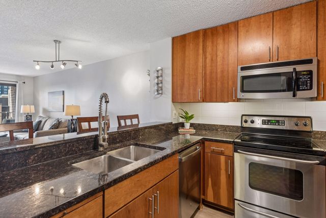 401 S 1st Street 521, Minneapolis, MN 55401