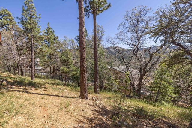 43855 Wolf, Big Bear Lake, CA 92315