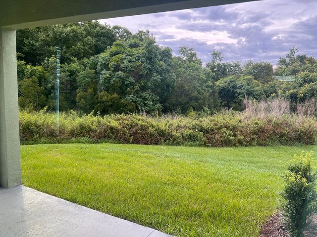 17461 SPANISH OAK LOOP, Land O Lakes, FL 34638