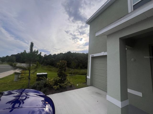 17461 SPANISH OAK LOOP, Land O Lakes, FL 34638
