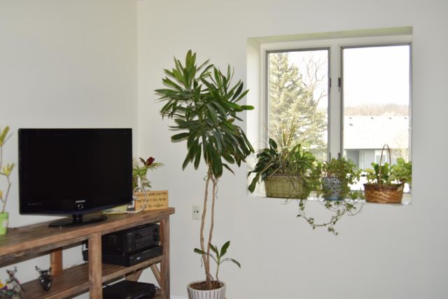 242 Bluegrass Drive, Schererville, IN 46375